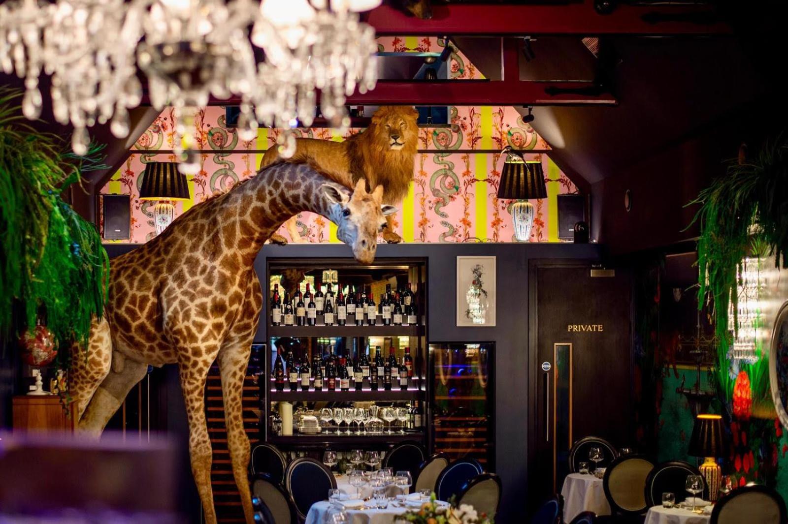 Hux Hotel, Kensington Londra Exterior foto
